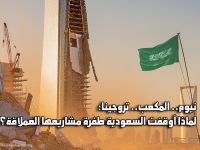 نيوم.. المكعب.. تروجينا: لماذا أوقفت السعودية طفرة مشاريعها العملاقة؟